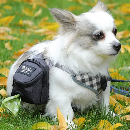 Portable Dog Treat Pouch & Poop Bag Dispenser – Multifunction Training Bag