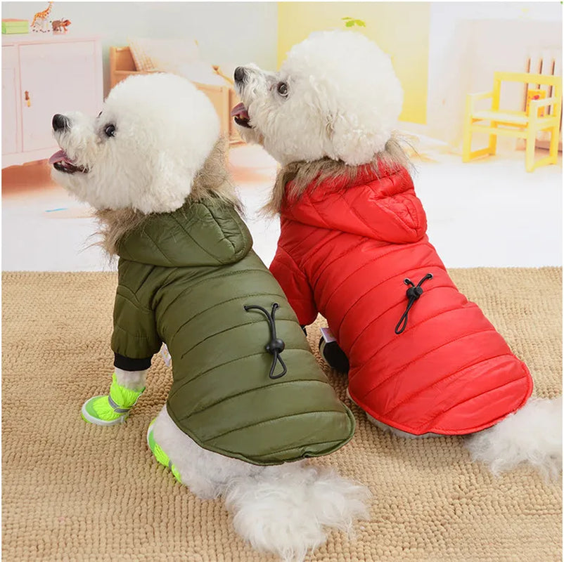 Dog Winter Jackets for Small Medium Dogs Coat for Winter Pet Clothes for Puppy French Bulldog Chihuahua Cat Rabbit